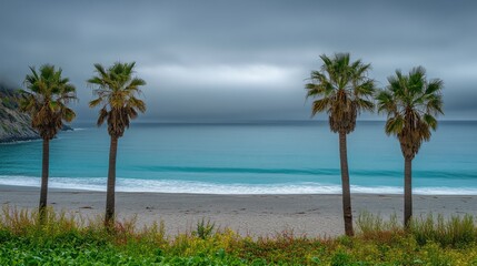 Serene beach scene with four palm trees under a cloudy sky.