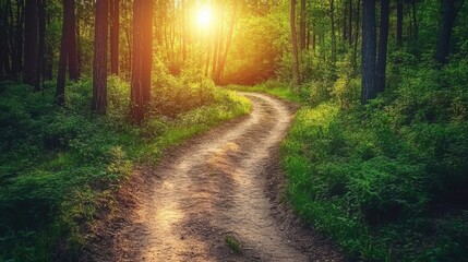 Fototapeta premium Winding Path Through Lush Forest at Golden Hour