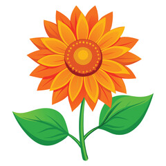 bright orange flower with green leaves vector illustration