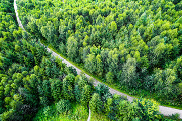View from the observation tower at Möhnesee of the surrounding green landscape. Nature at...