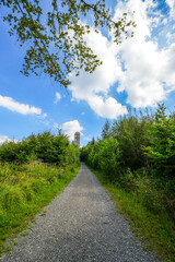 View of the observation tower at Möhnesee and the surrounding nature
