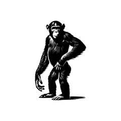 Fototapeta premium black silhouette of a chimpanzee. vector illustration