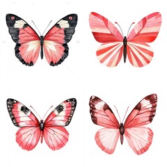 Obraz premium Colorful butterfly collection nature digital art studio macro photography nature's beauty
