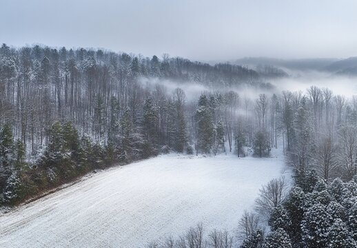 Winter Wonderland: Snow Covered Forest and Field Aerial View