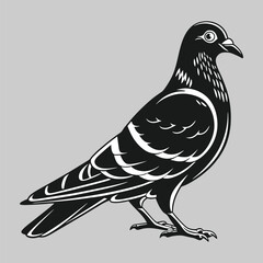 pigeon silhouette vector design art and illustration