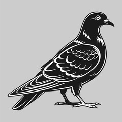 pigeon silhouette vector design art and illustration