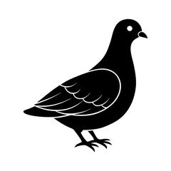 Dove Silhouette vector silhouette