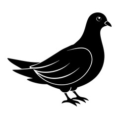 Dove Silhouette vector silhouette
