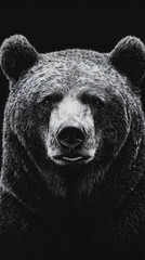 Monochrome grizzly bear silhouette with powerful claws, wild predator outline in black ink, strong wildlife mascot with vintage elements, carnivore emblem