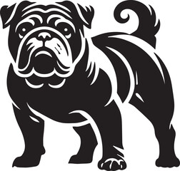 Black and white dog