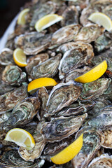 Close up of sea food on a tray