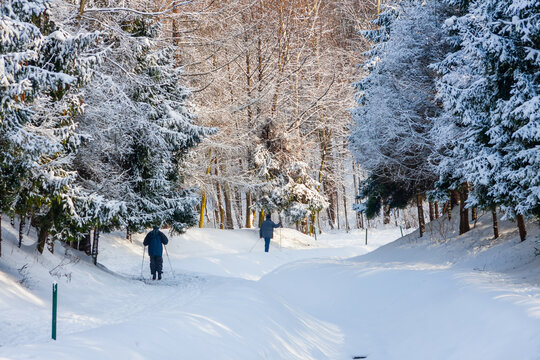 Active recreation in the city. Cross-country skiing. Two men cross-country ski in the park. View from the back