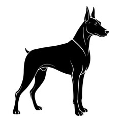 Doberman Silhouette vector silhouette