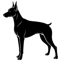 Doberman Silhouette vector silhouette
