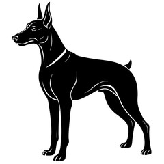 Doberman Silhouette vector silhouette