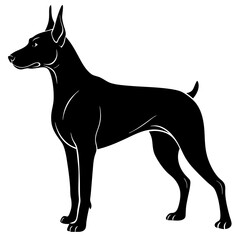 Doberman Silhouette vector silhouette