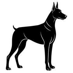 Doberman Silhouette vector silhouette