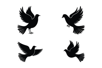Bird Illustration Pack for Clipart and Graphic Design Projects