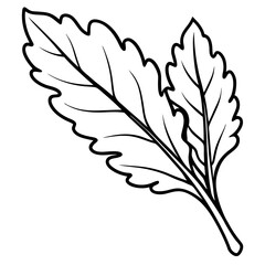 Black-and-White Arugula Leaves Line Art Illustration with Vein Details