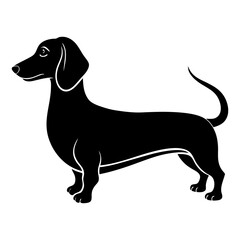 Dachshund Silhouette vector silhouette