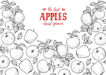 Apple fruit frame. Hand drawn vector illustration. Apple sketch collection.