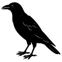 Crow Silhouette vector silhouette