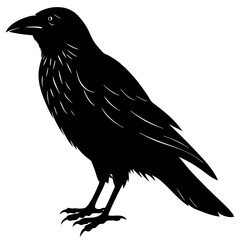 Fototapeta premium Crow Silhouette vector silhouette