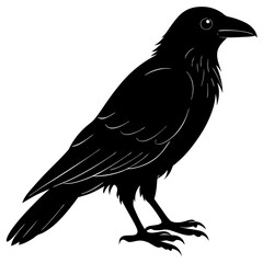Crow Silhouette vector silhouette