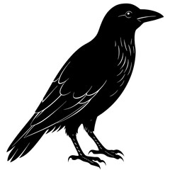 Crow Silhouette vector silhouette