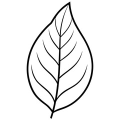 Fototapeta premium Hand-Drawn Leaf Line Art