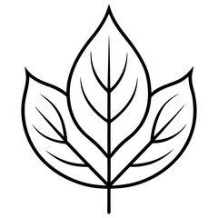 Hand-Drawn Leaf Line Art