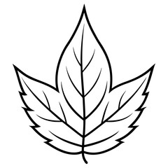 Hand-Drawn Leaf Line Art