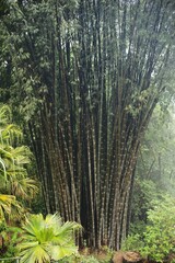 Beautiful Thailand: City, Nature, Religion, Art