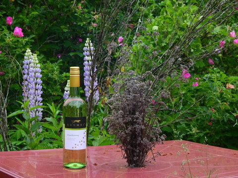 Bottle of South African Kuumba Chardonnay white wine in a garden setting with picnic style food pairings in summer