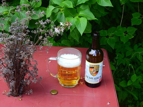 Tomsk German Russian beer in a summer garden