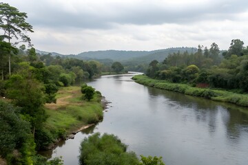 Fototapeta premium The Pambar River in Kerala, India, originates near Anamudi in Idukki district. It flows through Eravikulam National Park and Chinnar Wildlife Sanctuary, merging with the Chinnar River at Koottar.