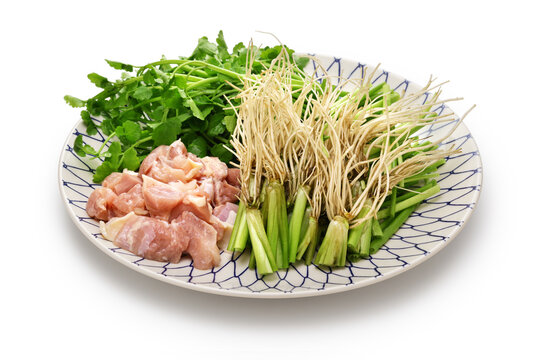 Ingredients for Sendai seri nabe ( Japanese parsley hotpot ). Seri roots are a delicious dish.