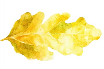 Fototapeta premium Delicate watercolor leaf on a clean white background, perfect for designs and illustrations