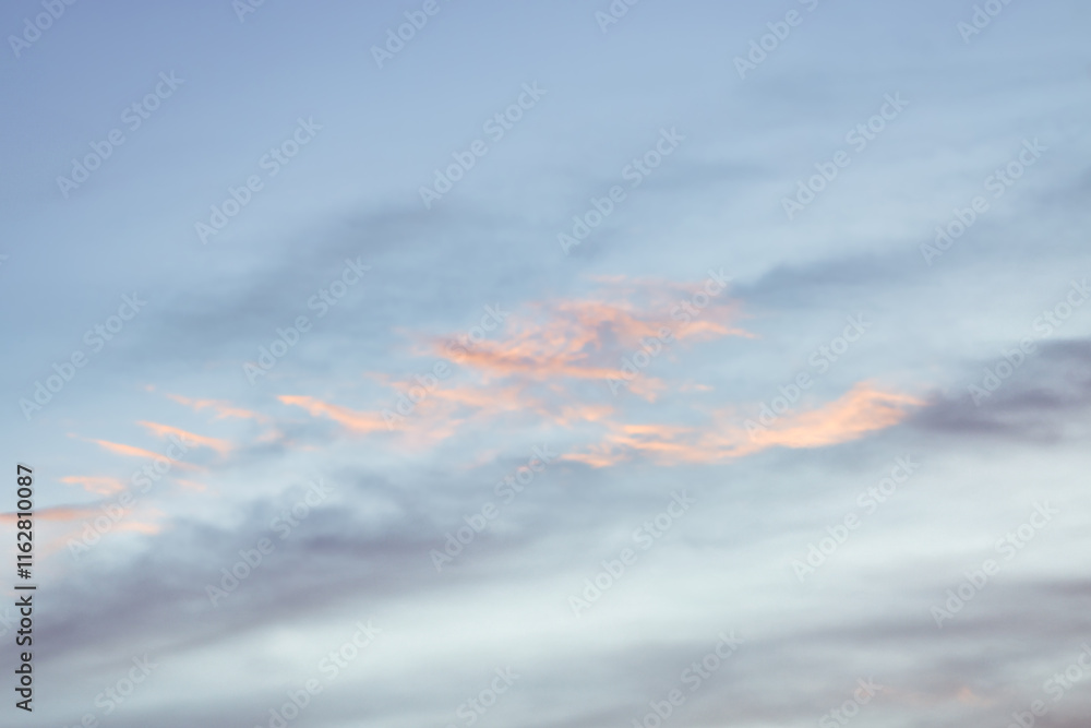 Wall mural generated image