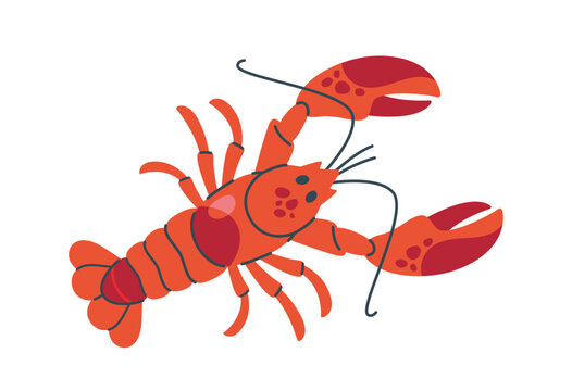 Bright red lobster with detailed claws, spots, and long antennae, isolated on a white background, perfect for seafood, marine, and culinary concepts. Flat cartoon vector illustration