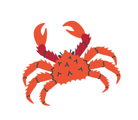 Red crab with claws, spiky details, and a cartoonish style, isolated on a white background, ideal for marine life, seafood, or coastal designs. Flat cartoon vector illustration