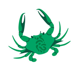 Green crab with detailed claws and shell patterns, designed in a simple cartoon style, isolated on a white background, suitable for marine or nature-themed designs. Flat cartoon vector illustration
