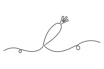 Obraz premium Carrot continuous single line art drawing of white background 