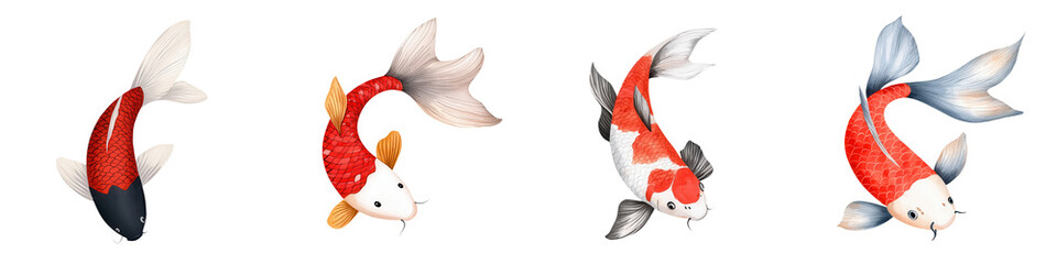 Obraz premium Colorful Koi Fish Swimming Gracefully in a Clear Water Pond with Vibrant Scales and Smooth Fins, Symbolizing Peace and Tranquility in Nature