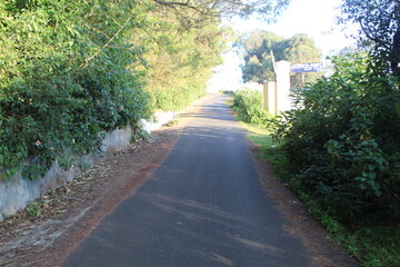road in the park