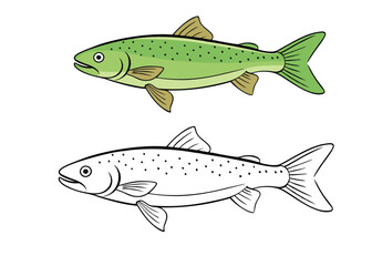 A detailed trout fish coloring page featuring intricate scales, flowing fins, and natural patterns. Perfect for kids and adults to explore creativity with vibrant colors!