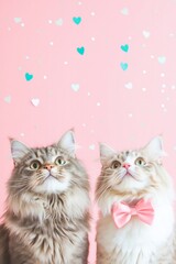 two cats one wearing a pink bow on a pastel pink solid color background, heart confetti, Valentines Day card
