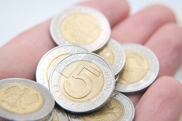 Fototapeta premium Polish money, five zloty coin. Business and saving. 