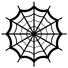 spider web