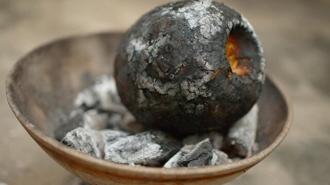 Breadfruit roasting on coals fully roasted 100fps